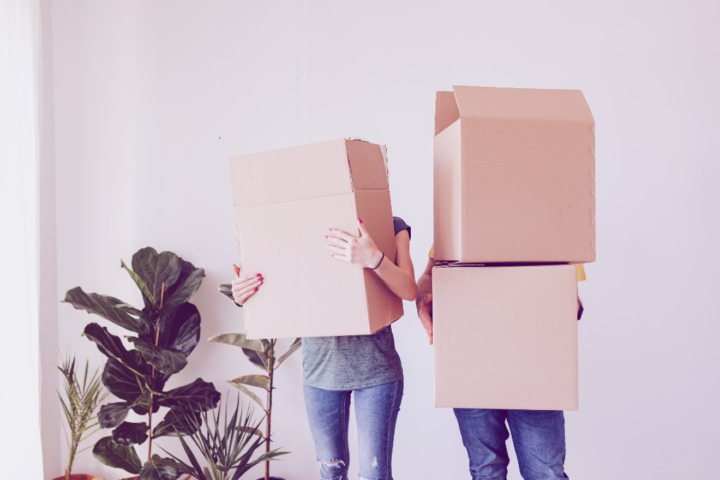 Couple carrying cardboard boxes in living room.