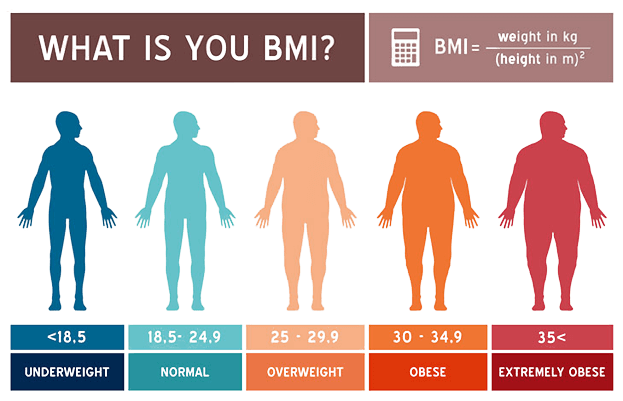 Body mass index formula.