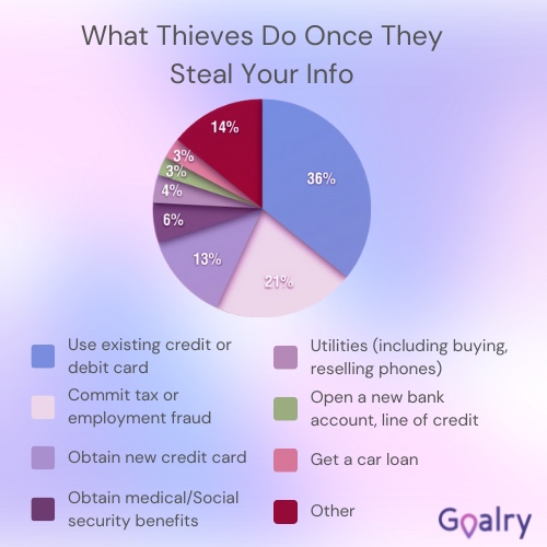 What thieves do once they steal your info pie infographic.
