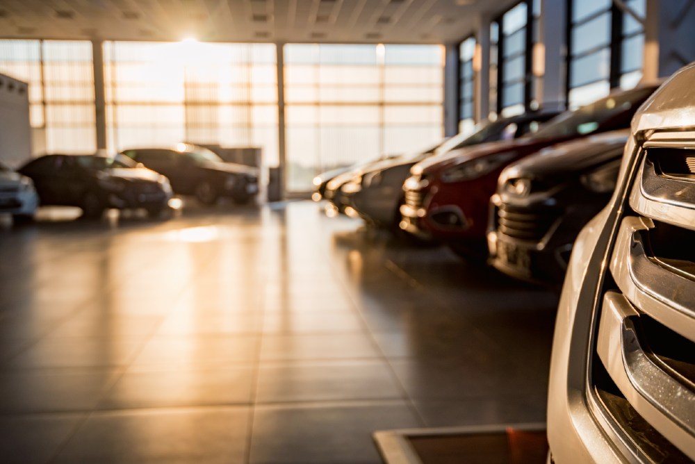 New cars at sunlit dealer showroom close view