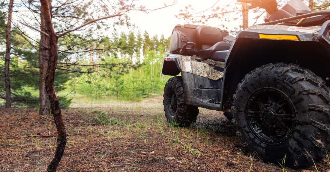 ATV awd quadbike motorcycle pov view near tree in coniferous pine foggy forest with beautiful nature landscape morning mist